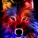 Danny albert fox - @dannyaf9 - Twitter