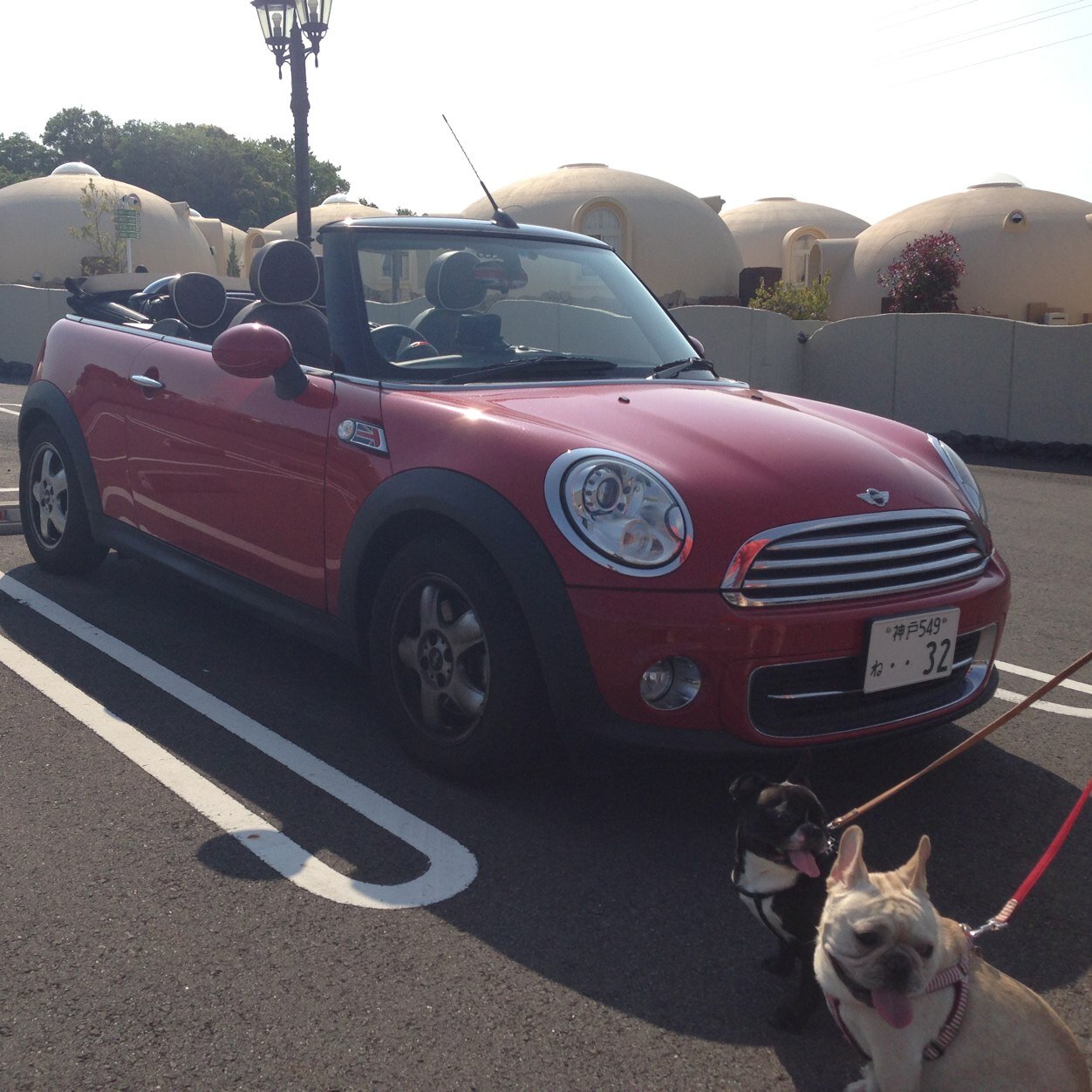 pinch_32's profile picture. AIBECK 大神さんのオタク