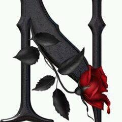 NtnKmbl's profile picture. 