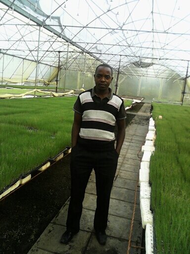 nicholaskiyen's profile picture. 