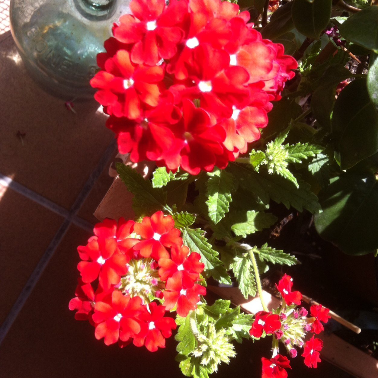 ruben11150's profile picture. 