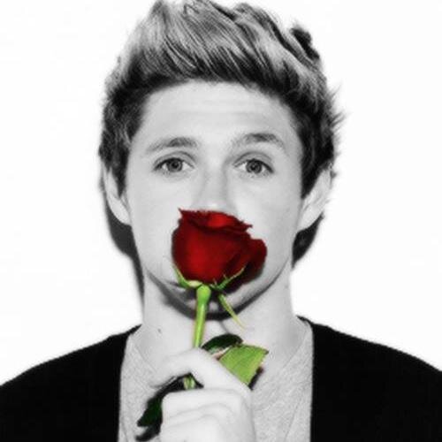 waѕ вorn тo love one ιrιѕн, ғoυr вrιтιѕн and ғoυr aυѕѕιeѕ | мeeт мy вaвy @Littlethings525 | all ι wanтed waѕ тo мeeт тнe ғιve вoyѕ