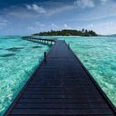 Grace Dickens - @dickens_grace - Twitter