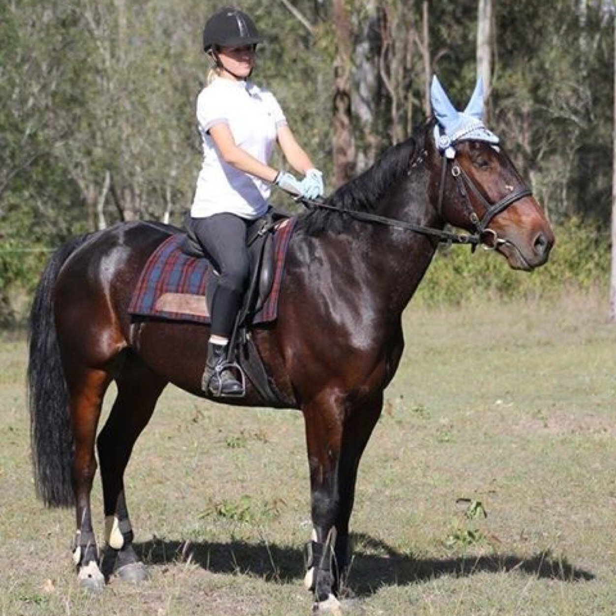 sarbear_LoVe1D's profile picture. Im 16 i ride horses and love one direction, 5 seconds of summer, little mix, olly murs, ed sheeran & many more. If you follow me i will follow you back xxoo