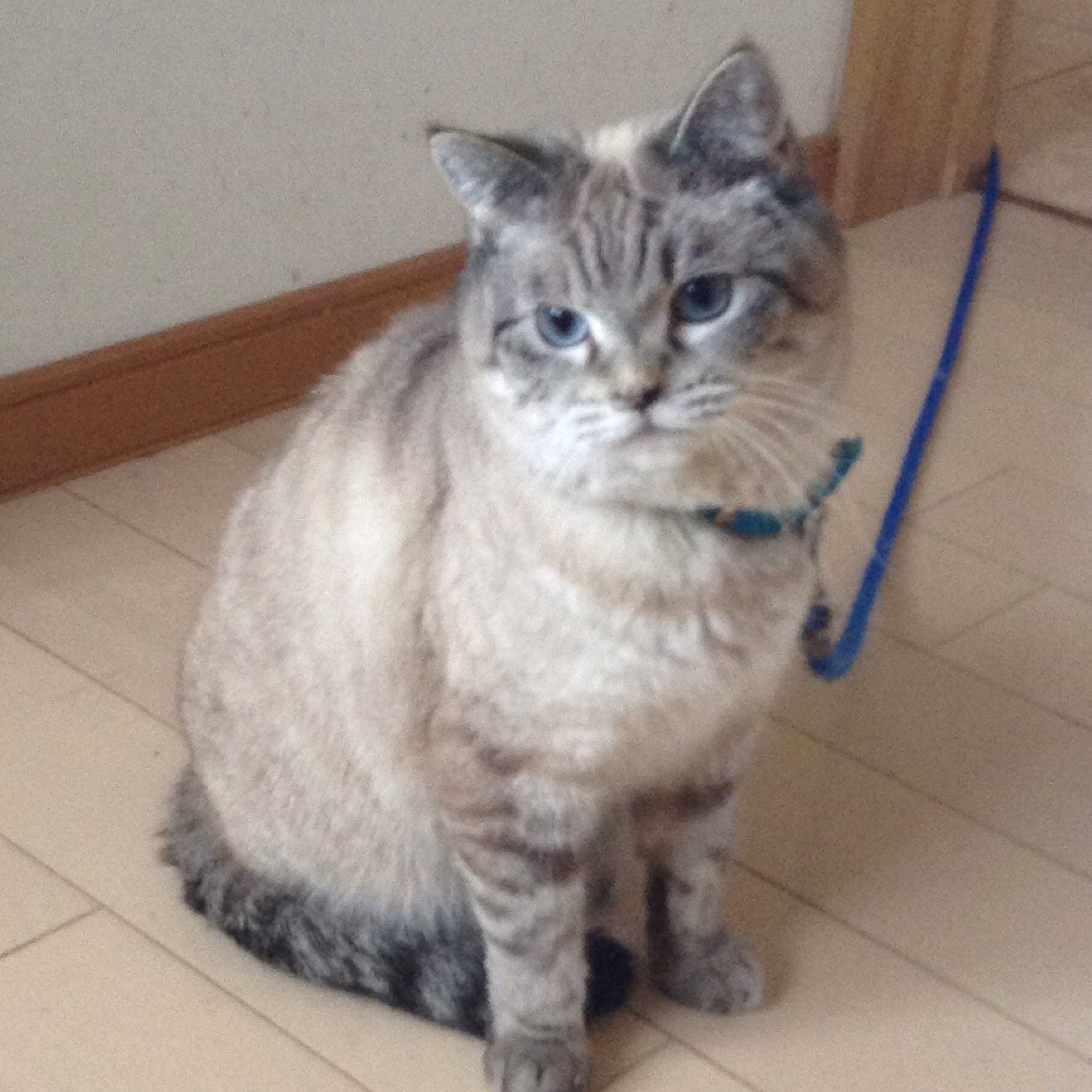 Ttro Tom5611 Twitter Ttro Tom5611 Twitter