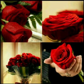ألحمدلله ♡ ََ