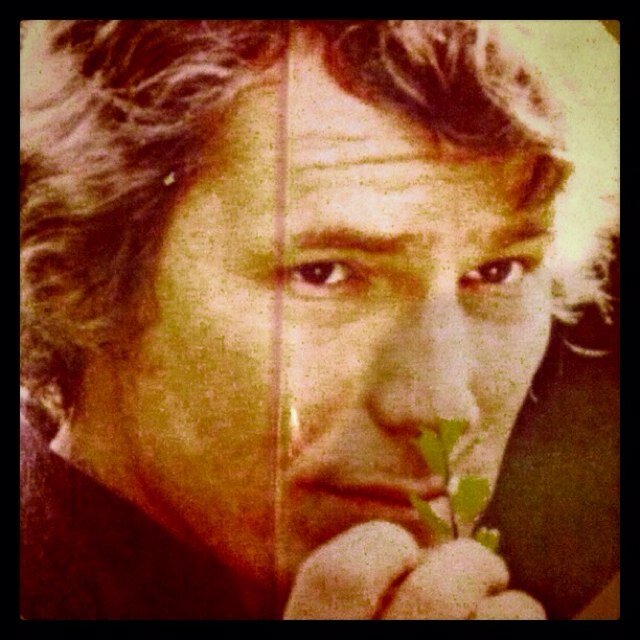 bradleylconrad's profile picture. 