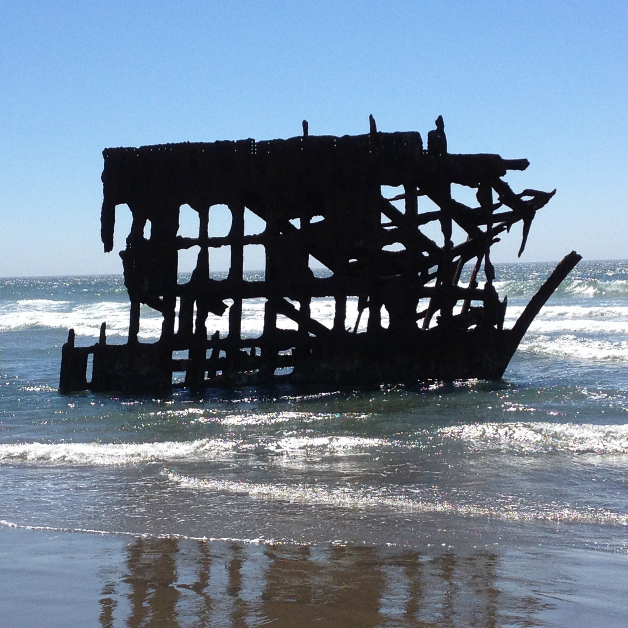 walkingoutwest's profile picture. 