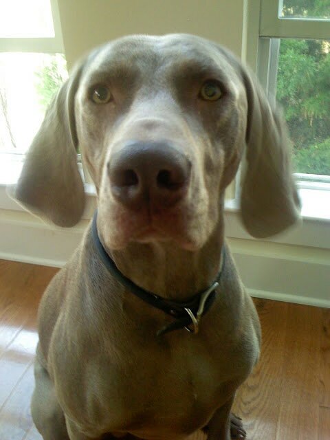 Cabmansc1's profile picture. 