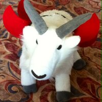 GroffTheBSDGoat (@groffthebsdgoat) 's Twitter Profile