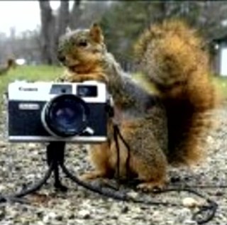 KMac24's profile picture. Enjoy learning the History of Beer's from all over the world.As a drinker myself very thankful Congress passed the 21st amendment to the constitution in 1933