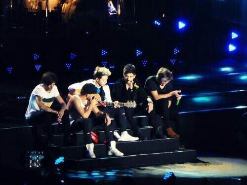 The five boys of the stairs. They are incredible Zayn Malik,Niall horan,Harry styles, Liam payne,Louis tomlinson. Everything about thems