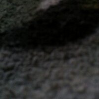sr (@biggdickboi) 's Twitter Profile