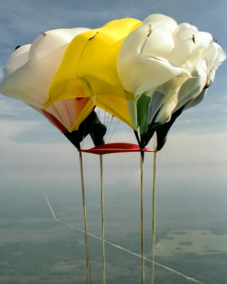 Skydiving_in_UA's profile picture. Все о скайдавинге в Украине.