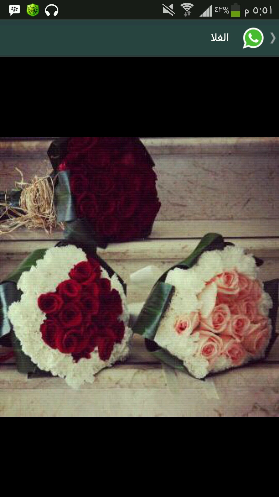 NanaMahammed's profile picture. born in 1994.....student at Imam University..