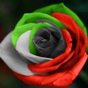 ♥ خالد الحارثي ♥ (@57Kksshh) Twitter