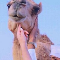 مبادل عمان ☺️ (@oman_a16) Twitter profile photo