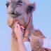 مبادل عمان ☺️ (@oman_a16) Twitter profile photo مبادل عمان ☺️ (@oman_a16) Twitter profile photo