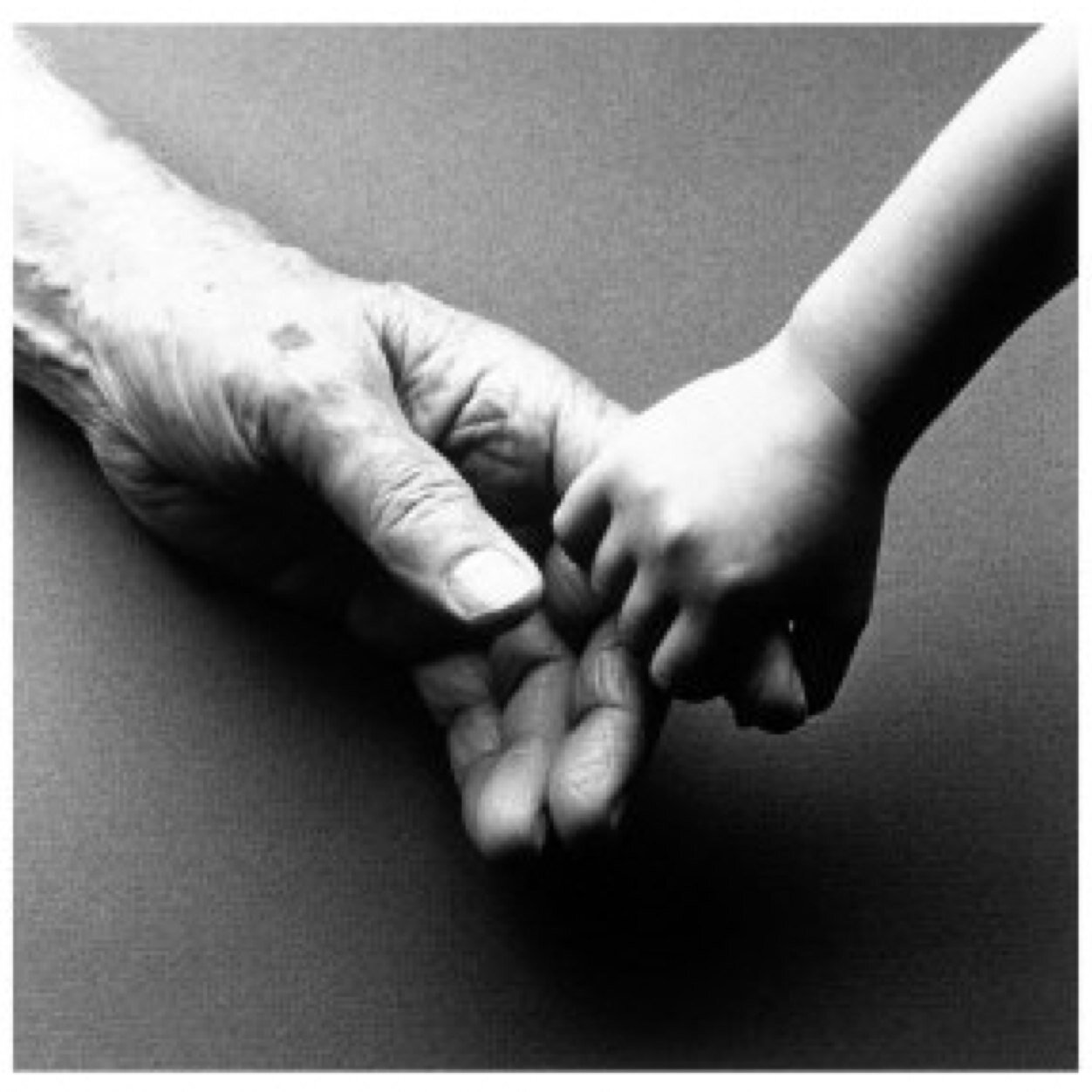 flipsmode's profile picture. 