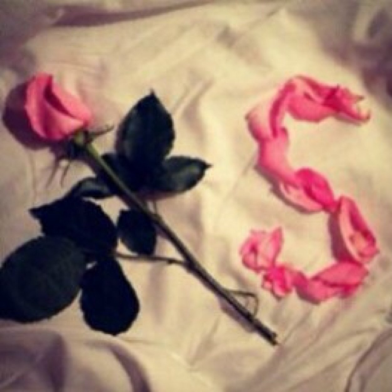 AshgThak's profile picture. عشقي له تخســون تغيرونـه •