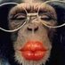 «Blageur» (@kasimoulol) Twitter profile photo