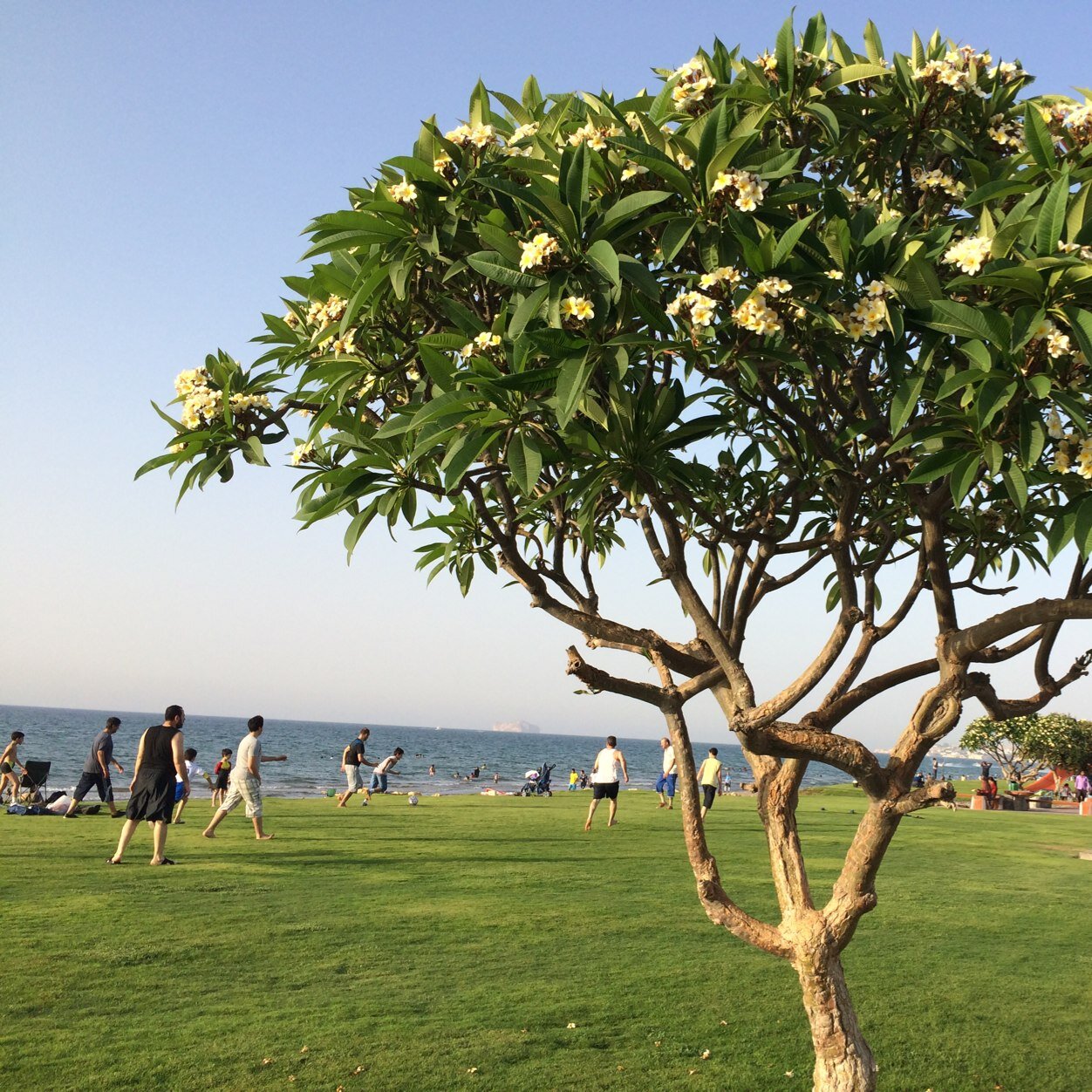 archana333's profile picture. 