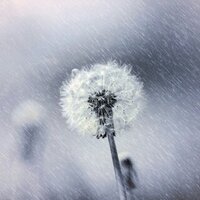 InstaStereo (@stereotypicalin) 's Twitter Profile