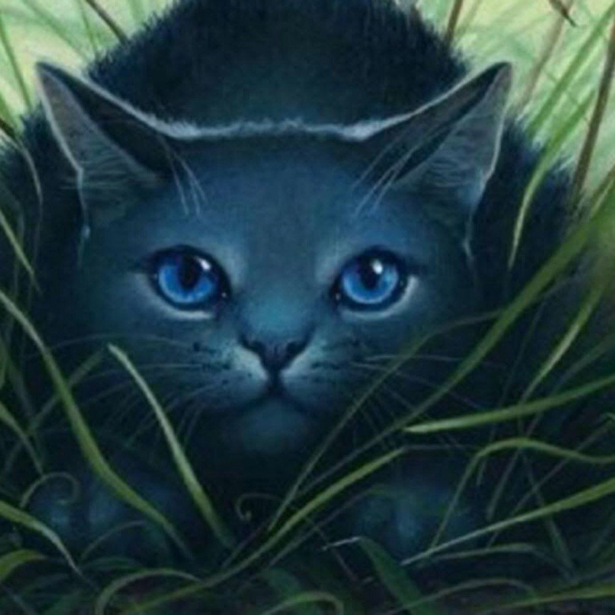 Crystalfur443's profile picture. She-cat, light grey fur ( looks blue), blue eyes, clan:none, mate:none... # looking for a mate and clan# farther: Redtail, mother: Sky, # mother&father=dead#