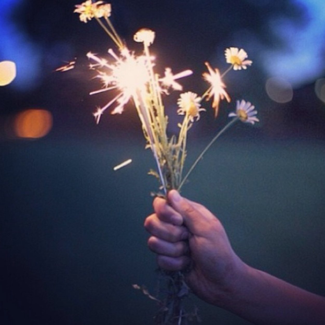 85_not's profile picture. 