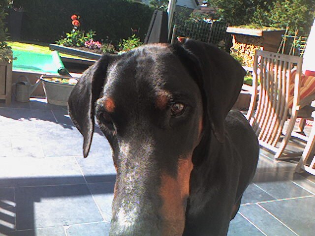 MobyHreeks's profile picture. 