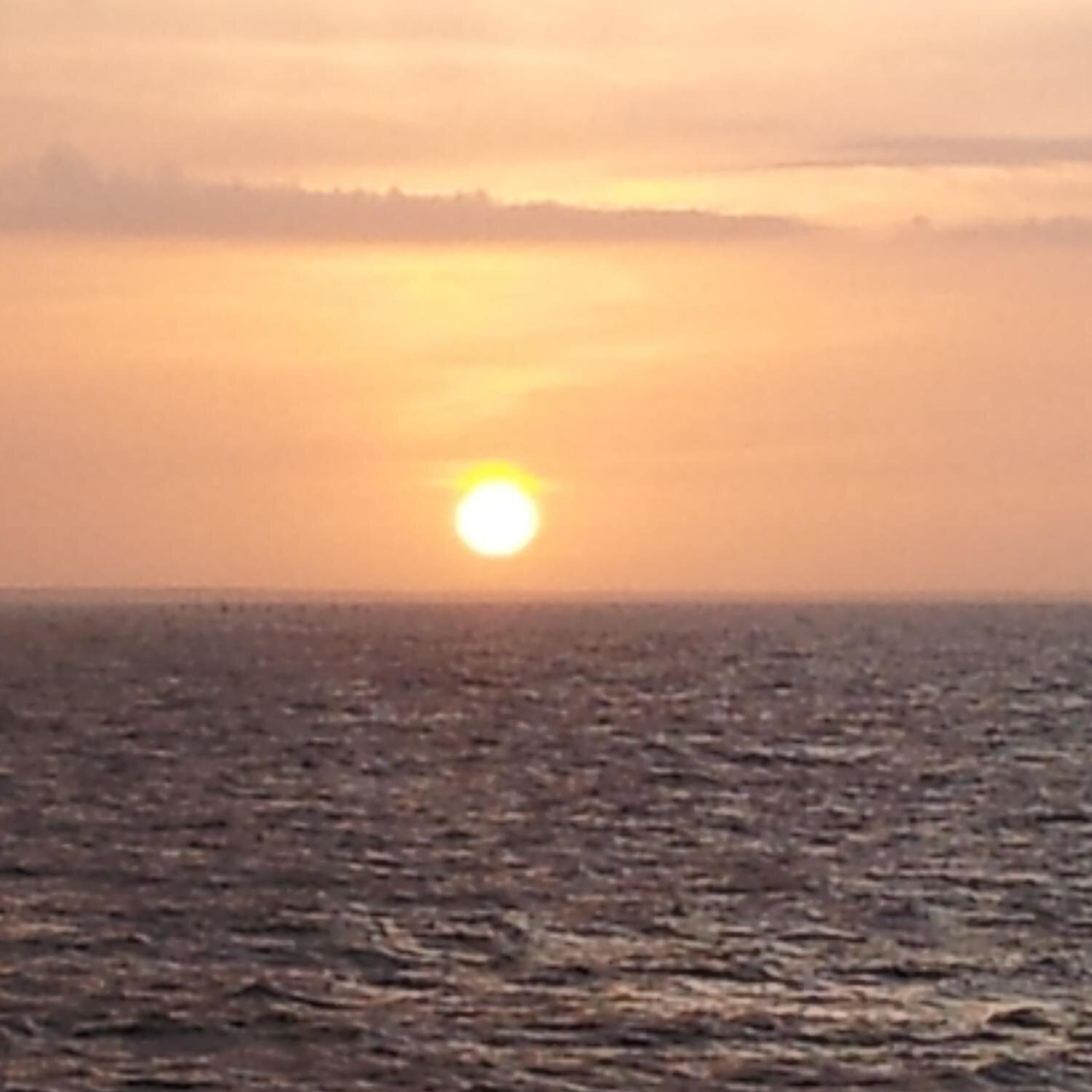 floresdelfri's profile picture. 