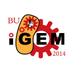 BostonU iGEM (@bostonu_igem) Twitter profile photo BostonU iGEM (@bostonu_igem) Twitter profile photo