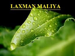 LaxmanMaliya's profile picture.