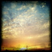 ＧｏＺｅｎ (@go_ze_n) 's Twitter Profile