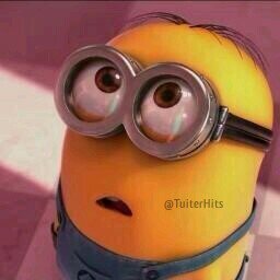 No me hable de usted, tuiteeme