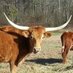 4 Corners Ranch (@4cornersranch) Twitter profile photo 4 Corners Ranch (@4cornersranch) Twitter profile photo