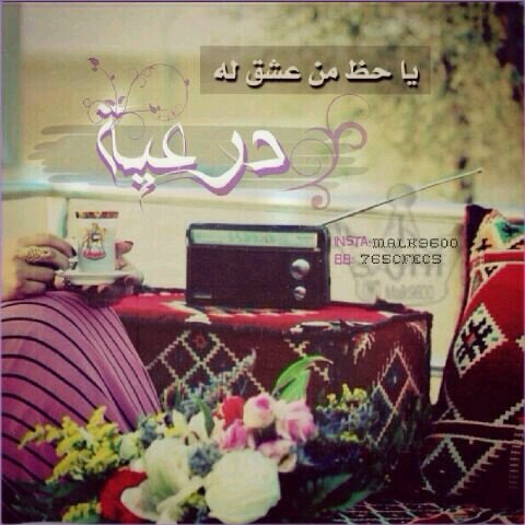 تابعوني ع حسابي اليديد nooral3yoon1231@
