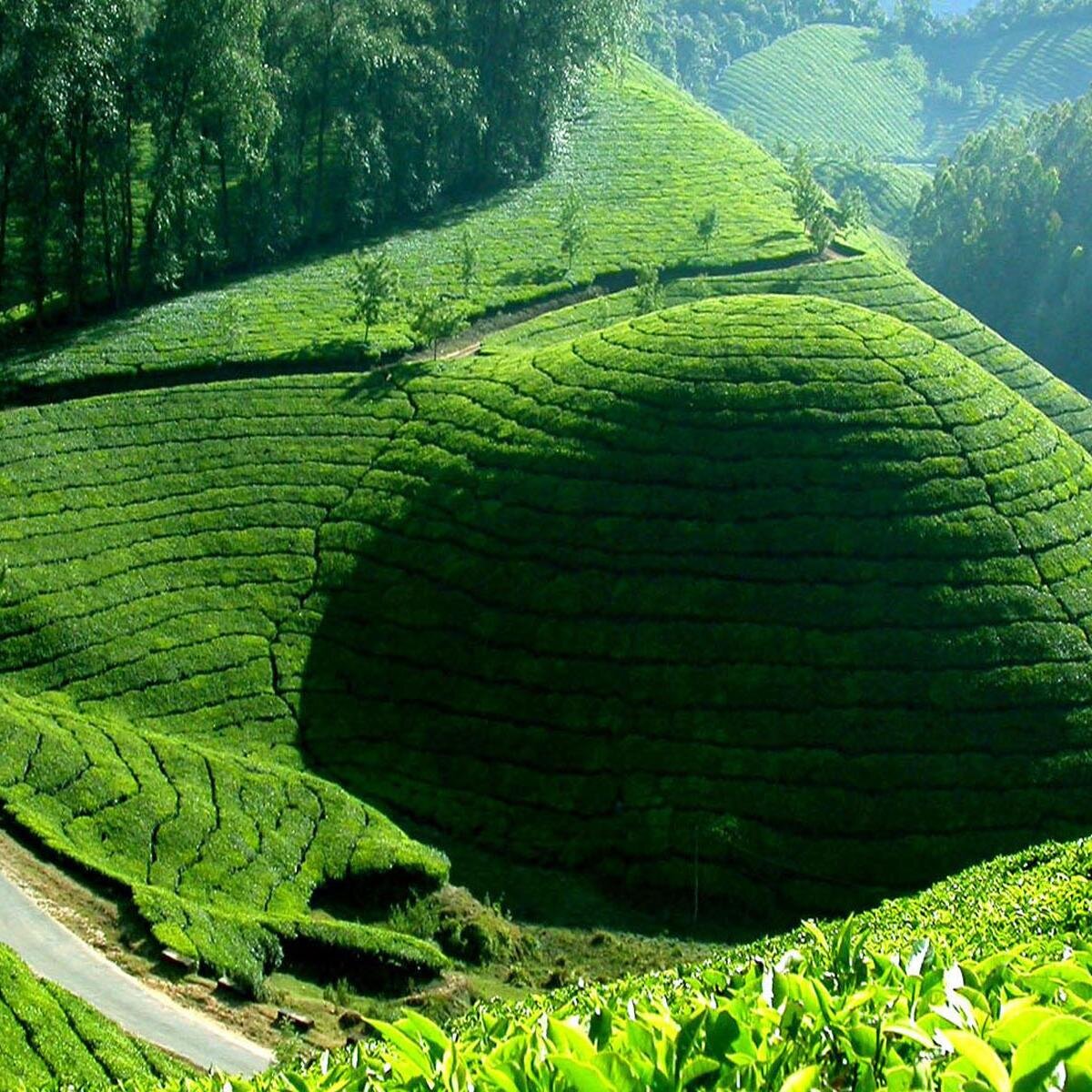 http://t.co/rIt3VWdJAc
Need holiday tour to kerala attractive packages
Give us a call : +91-9495003011