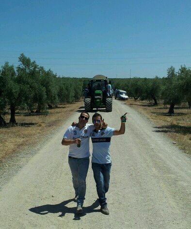 amadeoRR's profile picture. Técnico en instalación y mantenimiento. Peón de almazara  a día de hoy