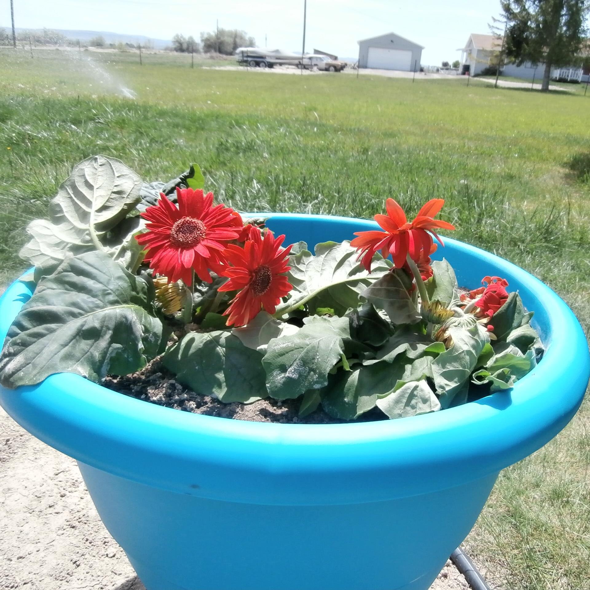 OffTheGridd's profile picture. 