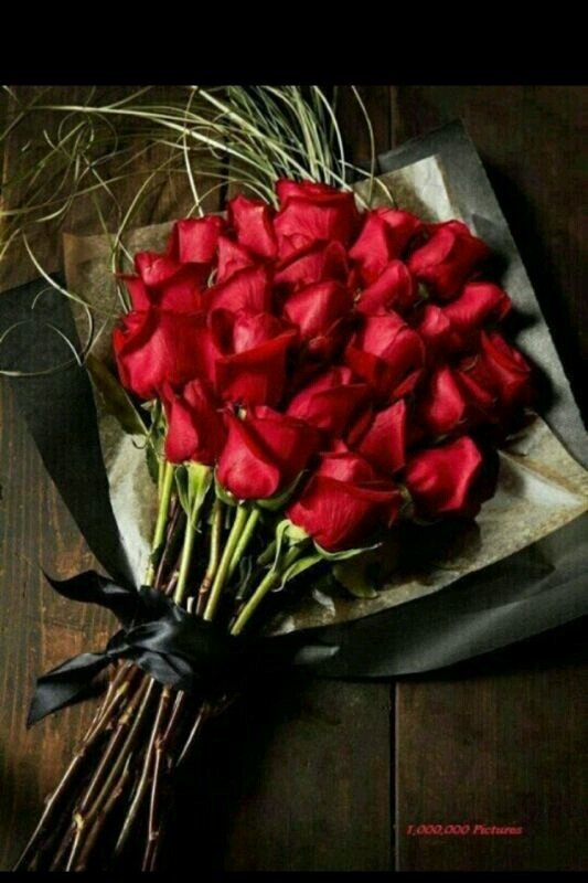 hano4441's profile picture. 