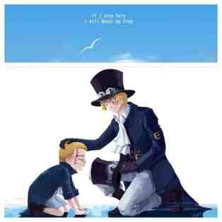 Hanya seorang Roleplayer Sabo dari Animanga One Piece