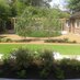 Precision Gardens (@gardener_nick) Twitter profile photo Precision Gardens (@gardener_nick) Twitter profile photo