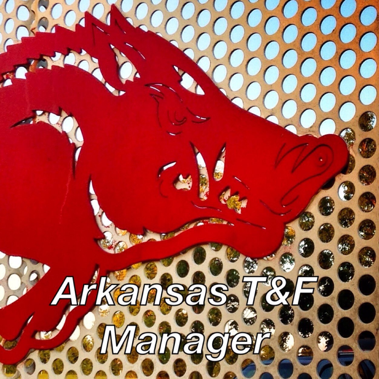 Arkansas Track & Field Manager on Twitter "All smiles from