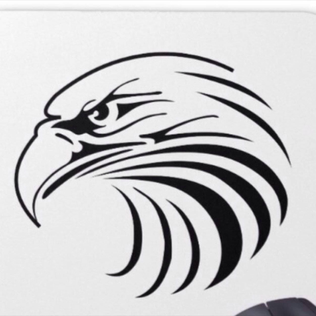 LordV1981's profile picture. 