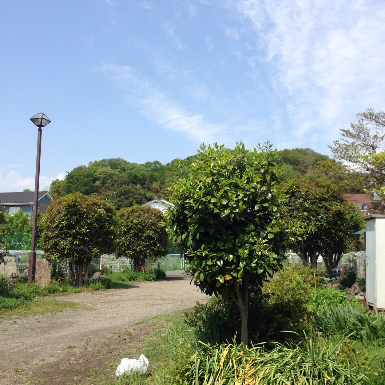 おむすびころりんちょ君 Pikotan Karuo Twitter おむすびころりんちょ君 Pikotan Karuo Twitter