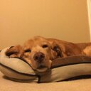 Doug Pence - @DPence73 - Twitter