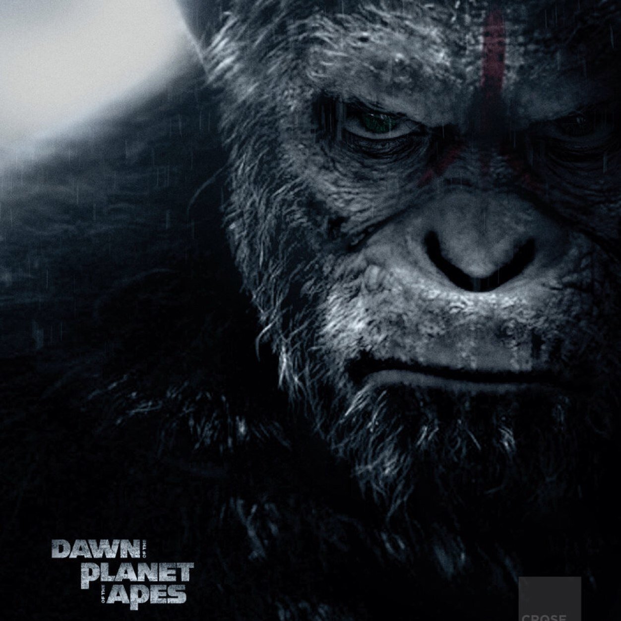 tutuda123's profile picture. 무 현자 시대