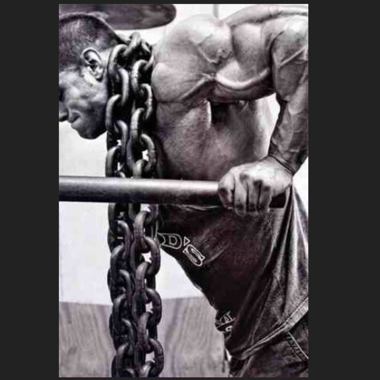 Men and Women- Bodybuilding- Motivation- Aesthetics- Nutrition- Wellness- Fit Living
