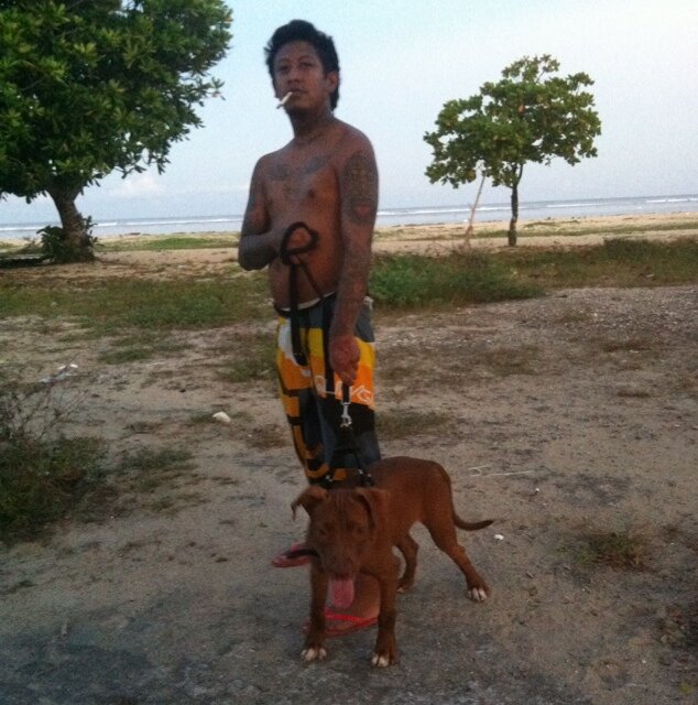 | @FatMike_of_NOFX was my inspiration ( am i going to hell for this 
the blues | THREE LIONS forever!!!  | DOG LOVER